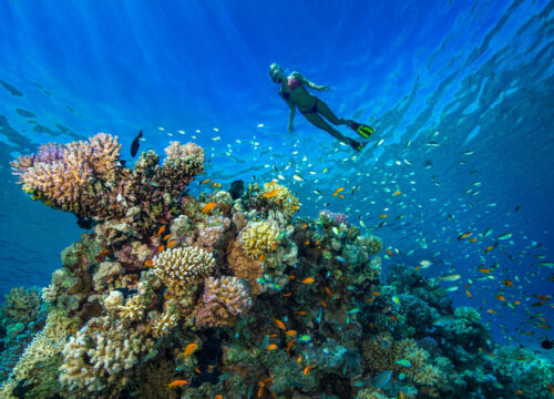 Intro Diving - Tauchen für Anfänger