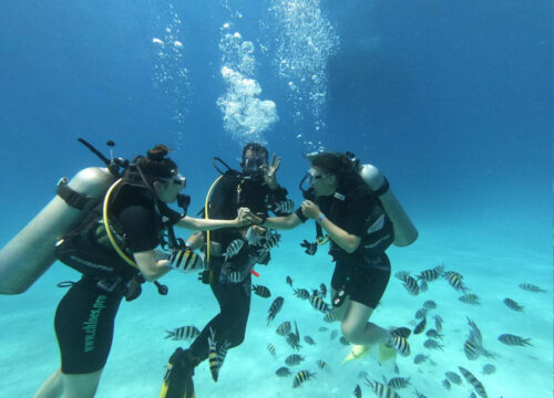 Intro Diving - Tauchen für Anfänger